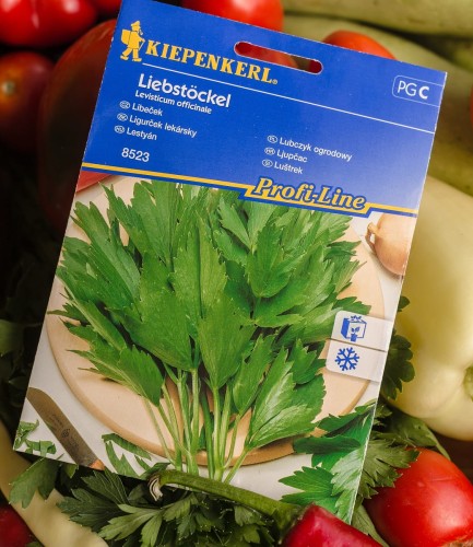 Lubczyk ogrodowy - nasiona Kiepenkerl