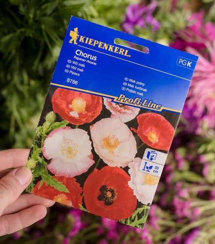 mak polny nasiona.JPG