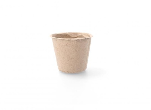 ID 102416.jpg