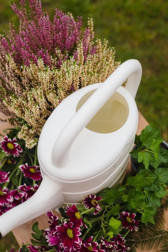 konewka do podlewania.JPG