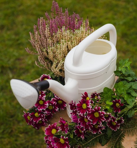 konewka 5 litrów.JPG