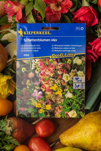 nasiona kwiatów co cienia.jpg