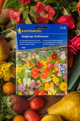 jednoroczne kwiaty.jpg