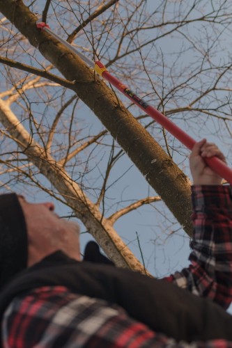 piła na wysięgniku.jpg