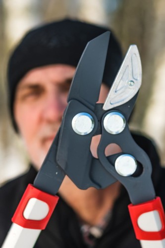 sekator kowadełkowy.jpg