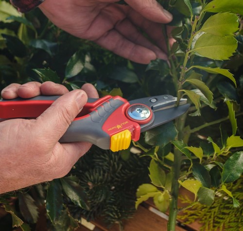 sekator kowadełkowy zielone pogotowie.jpg