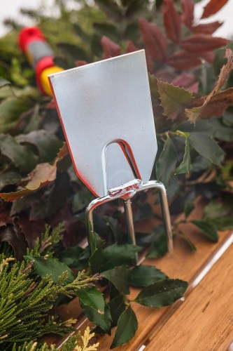 motyczka podwójna.jpg