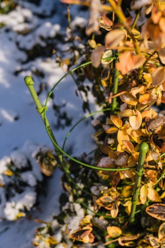 podpora na kwiaty.jpg