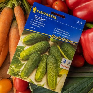 Ogórek konserwowy "Excelsior" F1