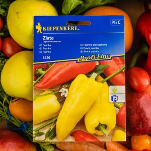 Papryka przekąskowa ,,Zlata’’ – nasiona papryki Kiepenkerl