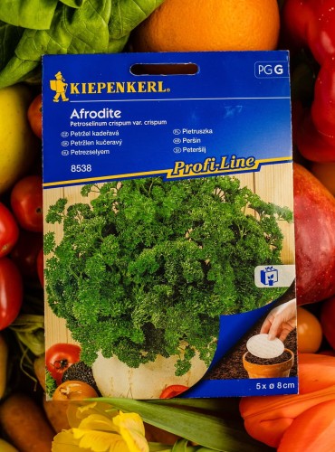 pietruszka nasiona.jpg