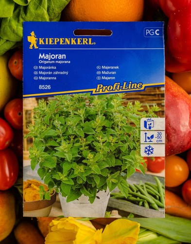 majeranek nasiona.jpg