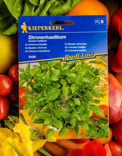 bazylia cytrynowa.jpg