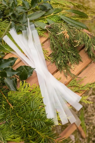 paski do szczepienia.jpg