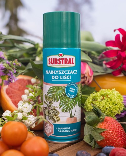 nabłyszczanie liści.jpg