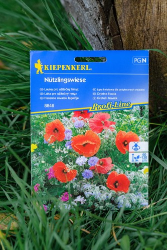 nasiona na łąkę kwiatową.jpg