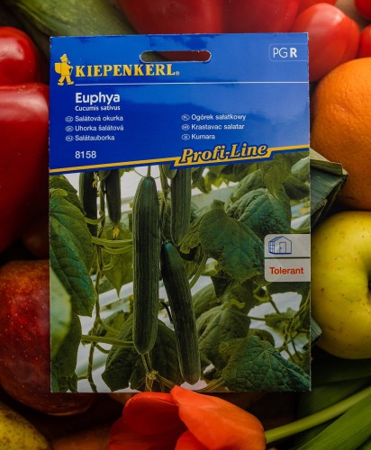 Ogórek sałatkowy "Euphya" F1