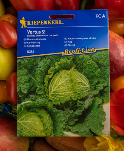 Kapusta włoska "Vertus 2"