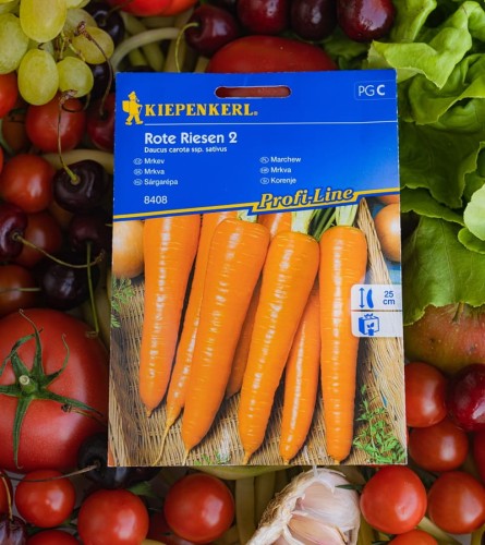 marchewka nasiona.jpg