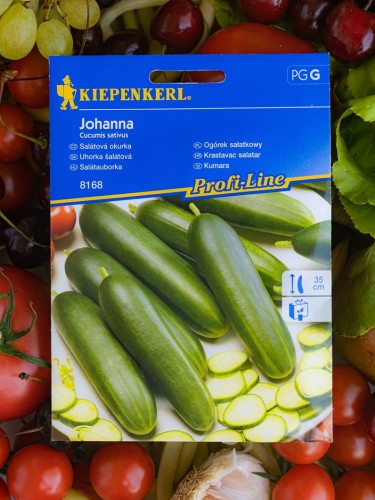 ogórek sałatkowy nasiona.jpg