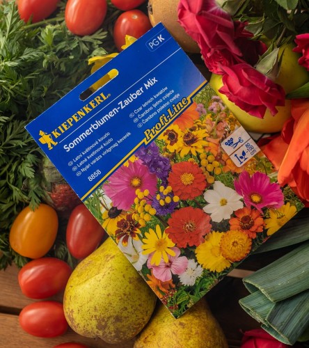 kwiaty letnie nasiona.jpg