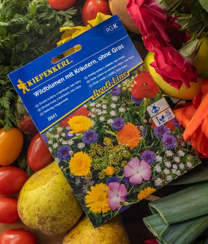 mieszanka kwiatów z ziołami.jpg