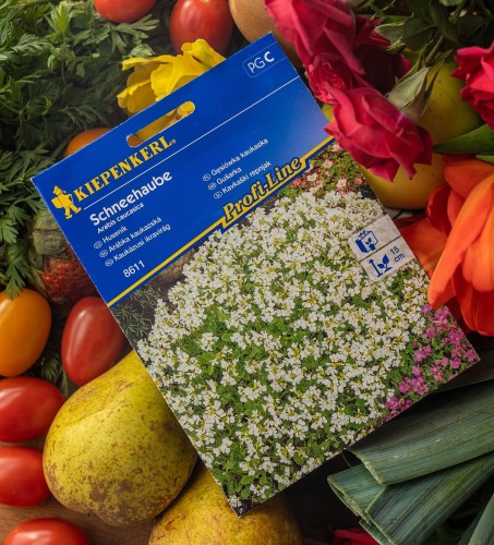 gęsiówka nasiona.jpg