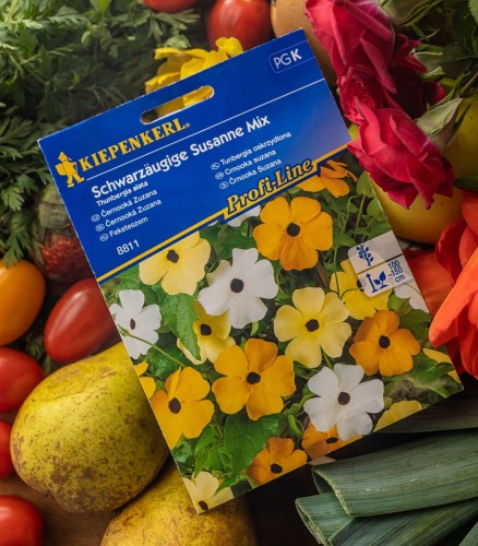 tubnbergia nasiona.jpg