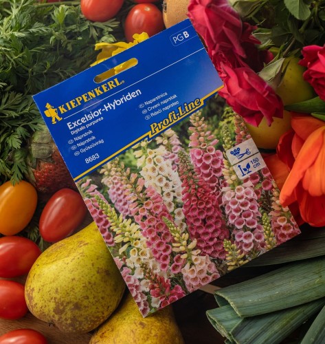 naparstnica nasiona.jpg