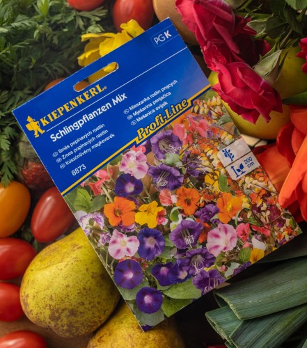 Mieszanka roślin pnących