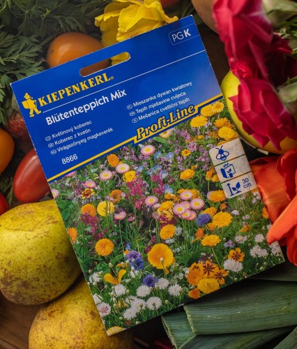 nasiona kwiatów.jpg