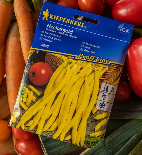 fasola tyczna nasiona.jpg