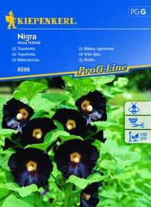Malwa ogrodowa "Nigra"