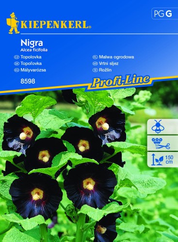 Malwa ogrodowa "Nigra"