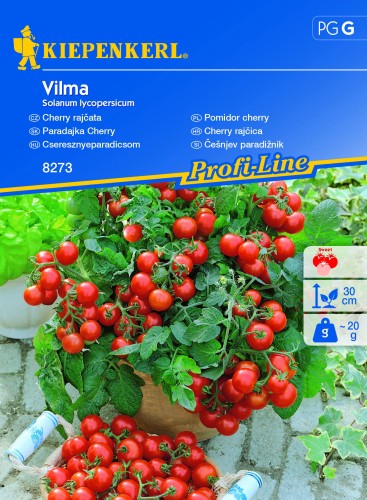 Pomidor cherry "Vilma"
