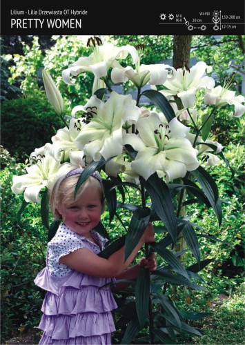 lilia-drzewiasta