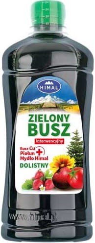 zielony-busz