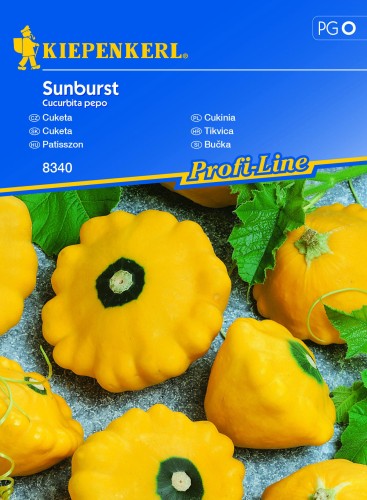 sunburst 1.jpg