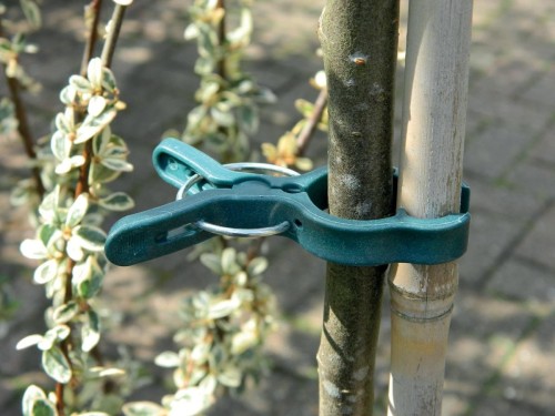 Duże klipsy do roślin 5 szt. – Garland