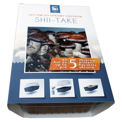 grzybnia-uprawa-shiitake