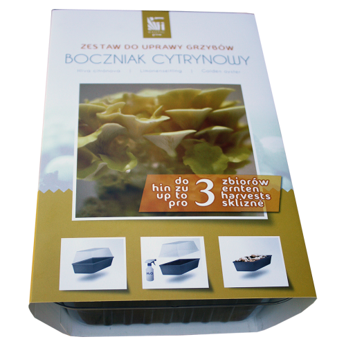 zestaw-do-uprawy-boczniakow