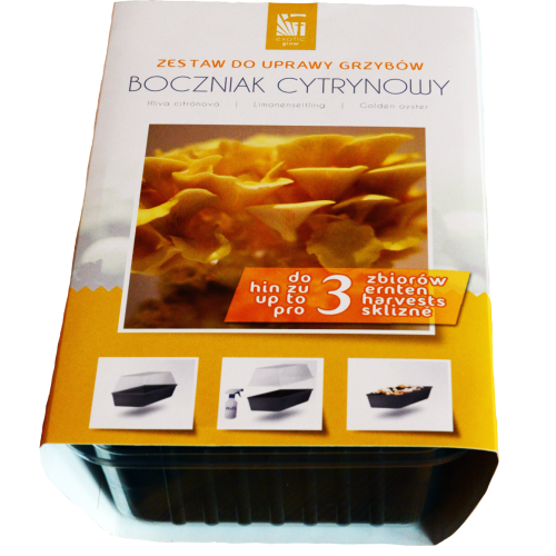 zestaw-do-uprawy-boczniakow