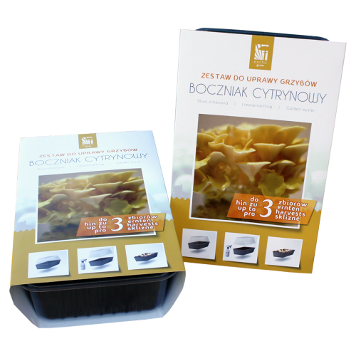 zestaw-do-uprawy-boczniakow