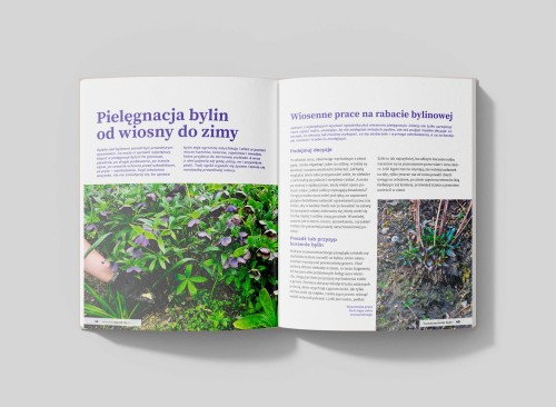 7f62e0457258d97607e2483cd6831673