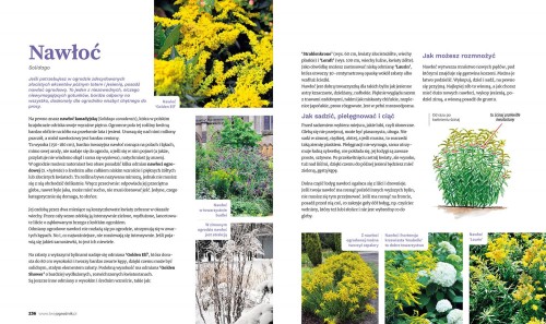 c015deb367e63fb00804d7dec3e2f2f3