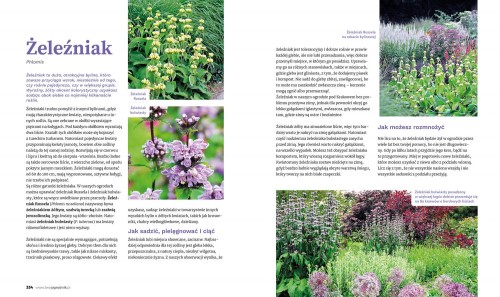 0e0f06a3376ea7bef6522ba61a6ee291