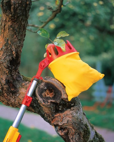 71ACA008650_RG-M_B01 (1).jpg