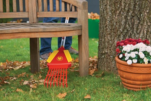 miotlograbie-do-lisci