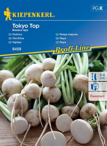 Rzepa majowa biała "Tokyo Top" F1 – nasiona Kiepenkerl