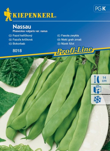 Fasola zwykła ,,Nassau‘’ - nasiona fasoli Kiepenkerl